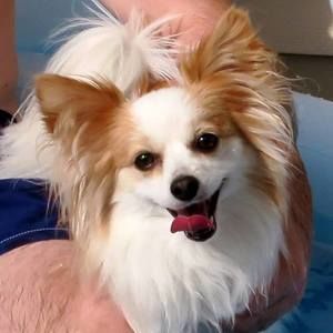 Meet your Posher, Anne